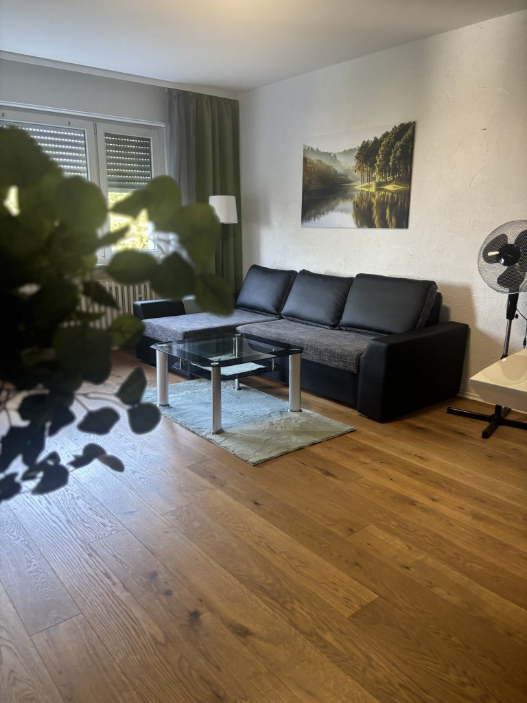Wohnbereich im möblierten Apartment Sindelfingen mit Sofa und Esstisch