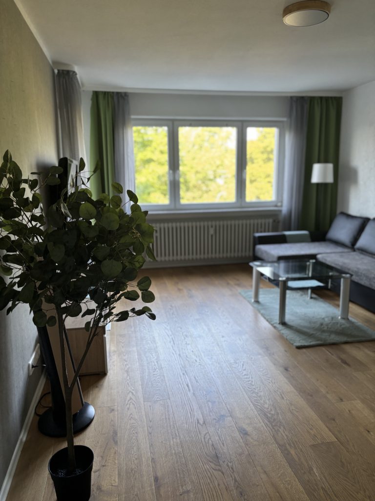 Wohnbereich im möblierten Apartment Sindelfingen mit Sofa und Esstisch